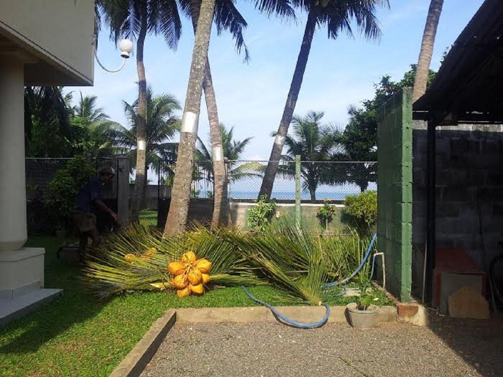 Hotel Janishi Residencies Negombo Exterior foto